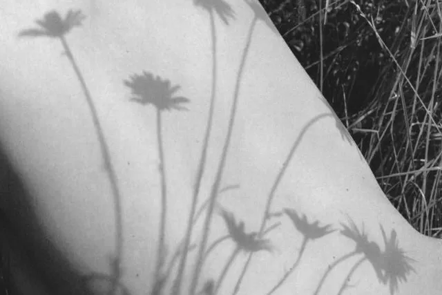 Scar Camouflage